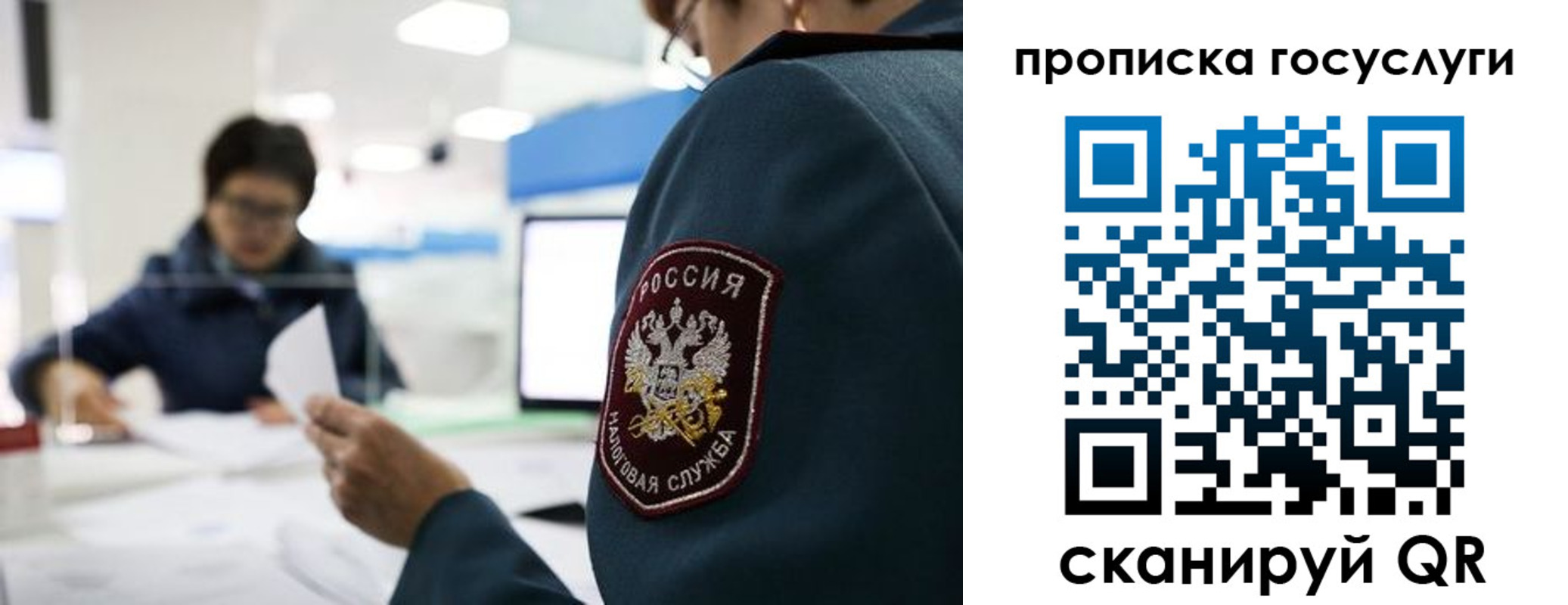 регистрация для школы в Камчатской области